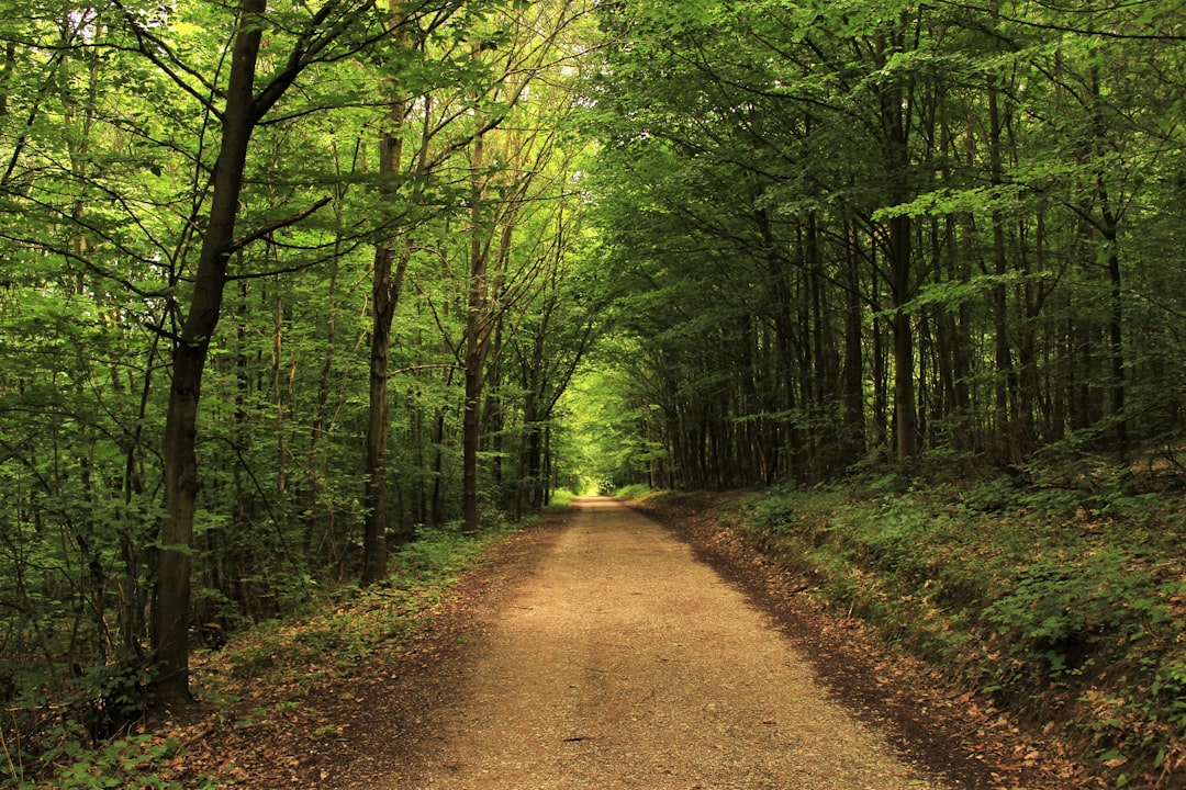 Photo Off-the-beaten-path village