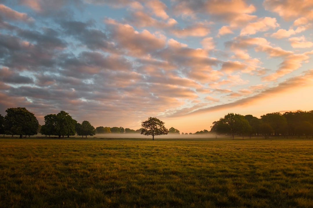 Photo Early morning