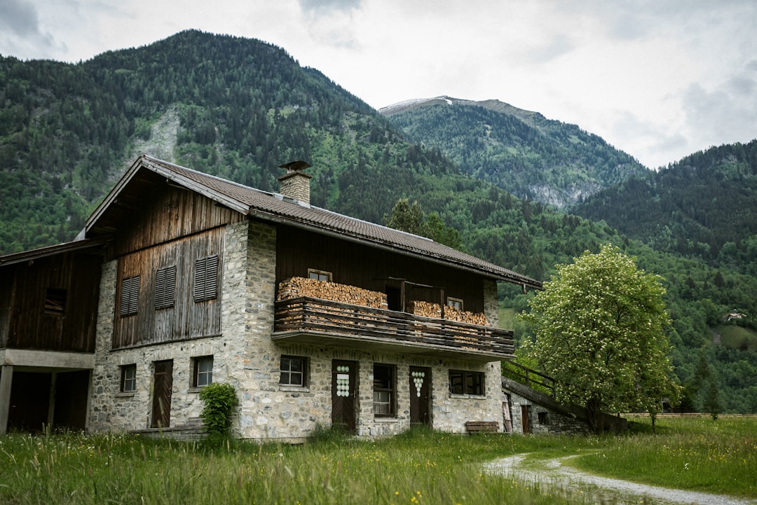 Photo Eco-friendly cabins