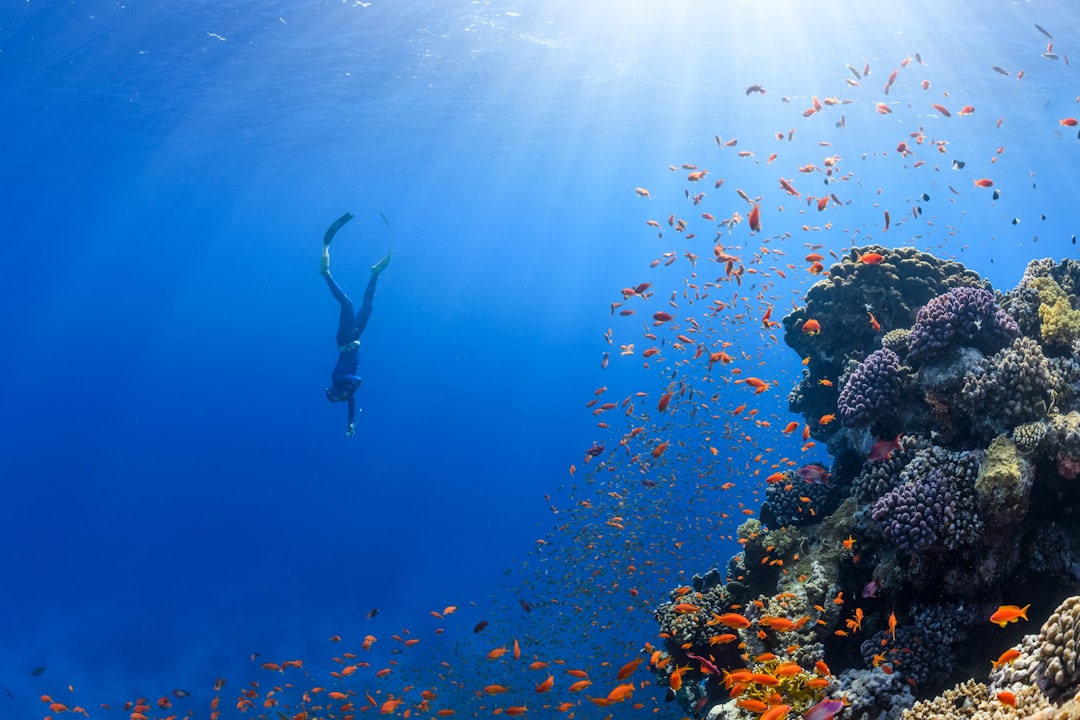 Photo Underwater exploration