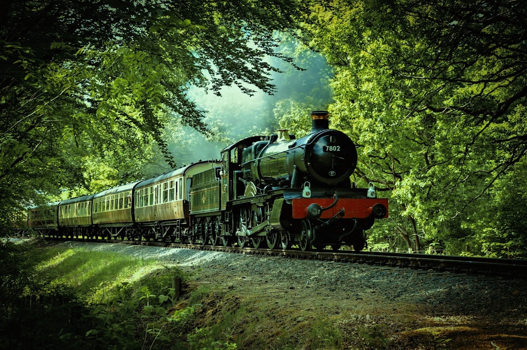 Photo Elegant train