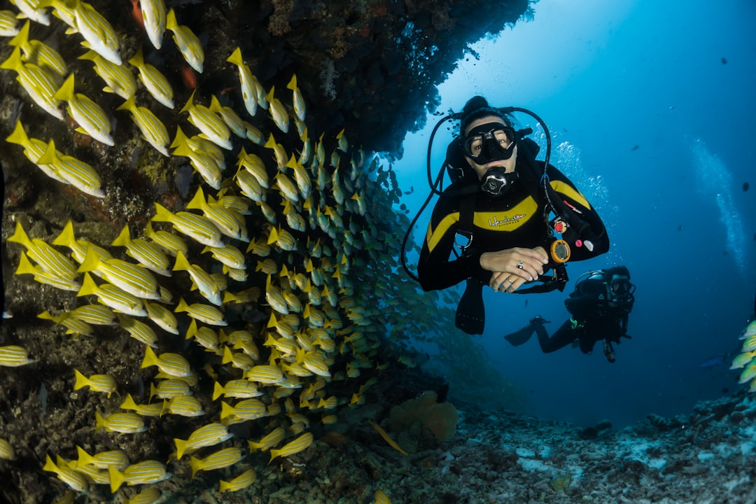 Photo Underwater paradise