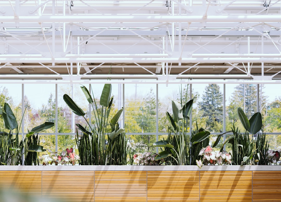 Photo Botanical Gardens
