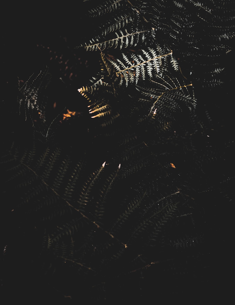 Evolution of the Godzilla vs Kong Poster: Design Analysis & Hidden Easter Eggs