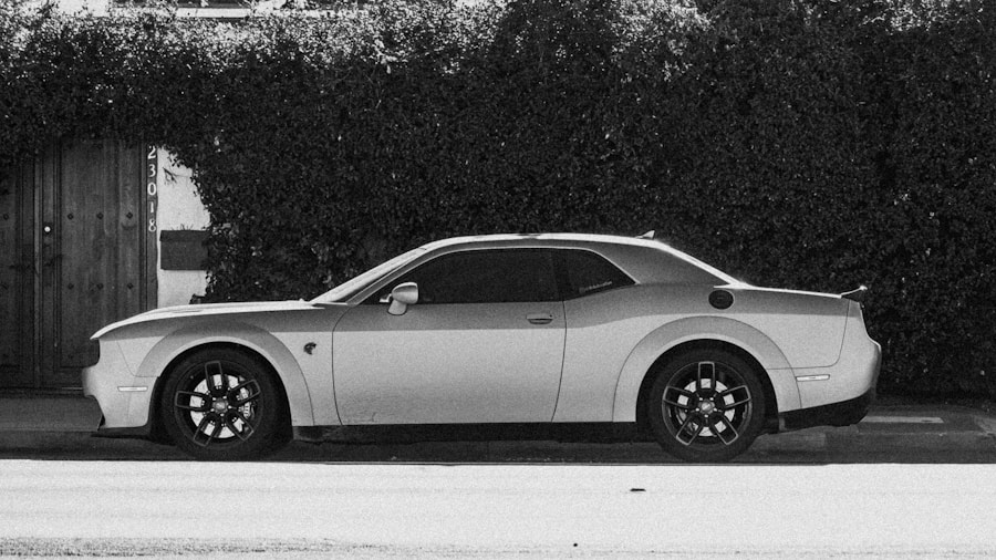 Photo Vintage Godzilla