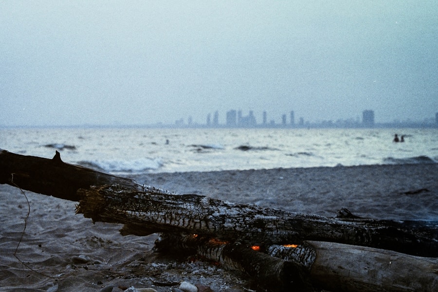 Photo "Why Godzilla movies often explore humanity’s flaws"