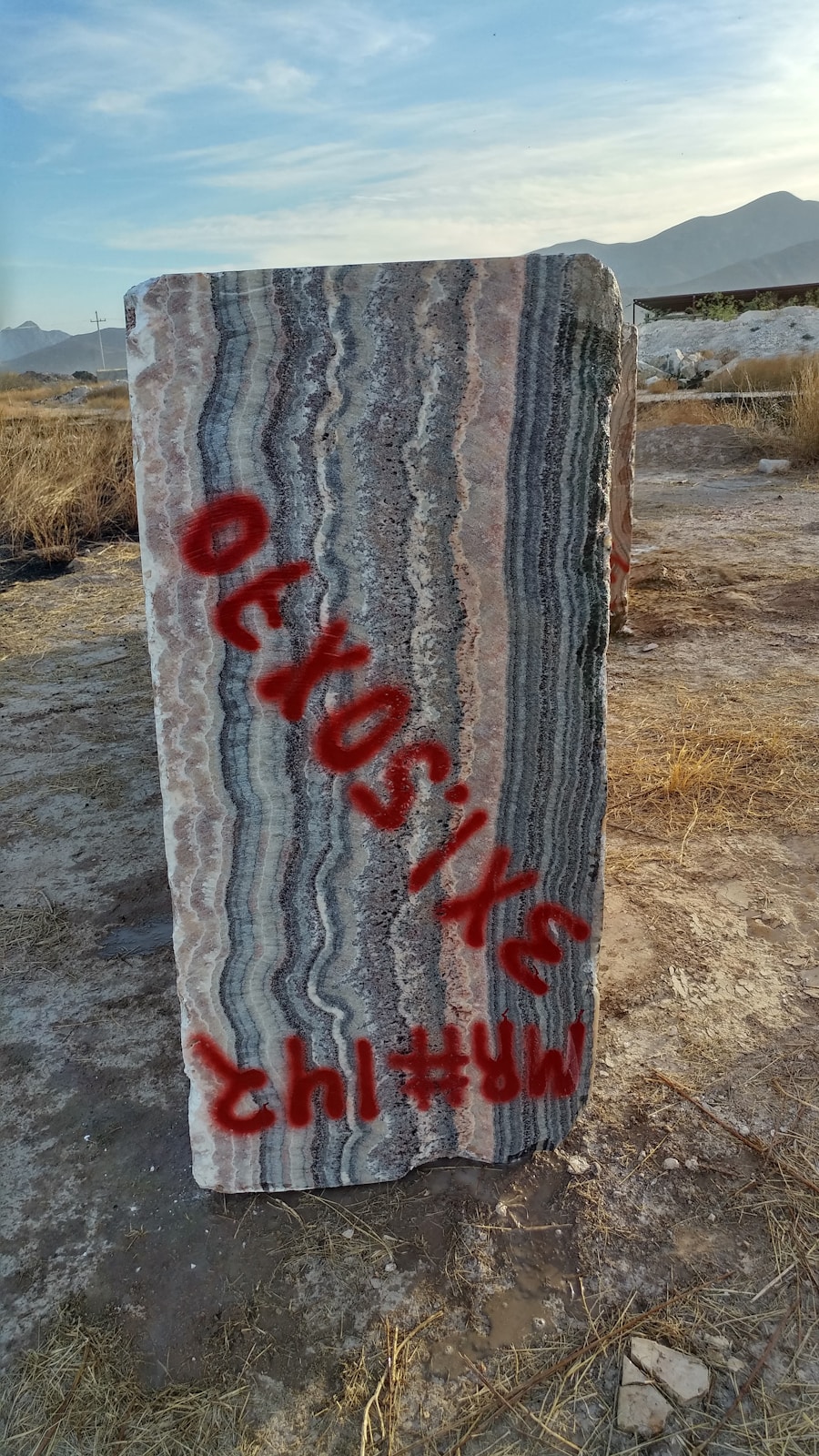 Photo "Easiest way to get into New Vegas"
