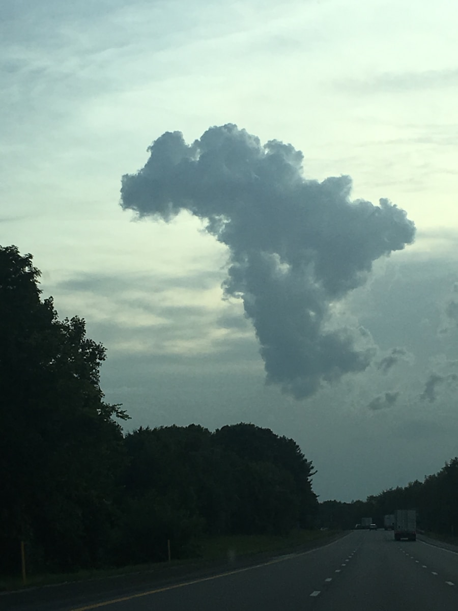 Photo "how can godzilla float above the ocean"