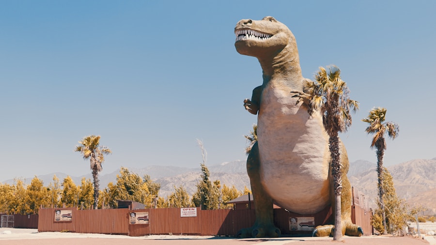 Photo Explain Nevada caucus