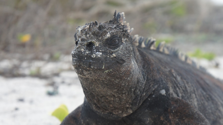Photo "How does Godzilla stand in the ocean?"