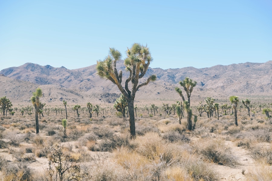 Photo Explain Nevada Question 3