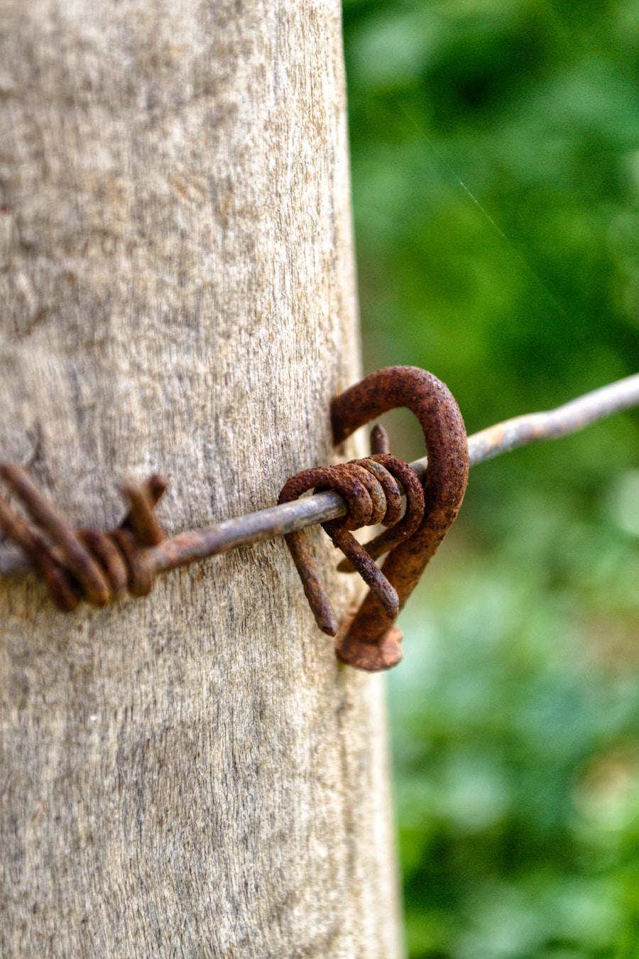 Photo "The power of vulnerability in deepening connections"