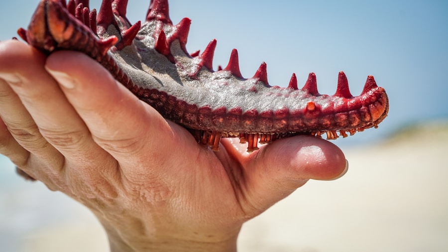 Photo Hiya toys Shin Godzilla