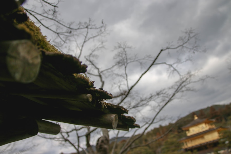 Photo "how Gamera stands as an ecological advocate compared to destruction-focused Godzilla"