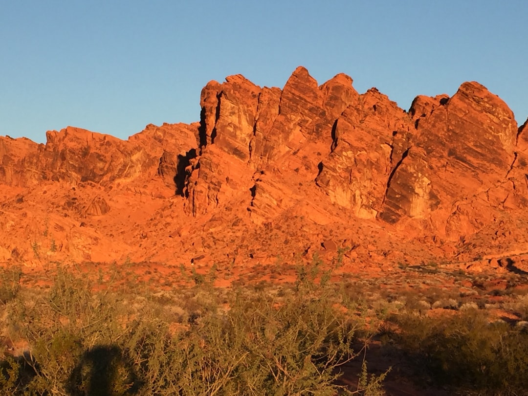 Get Your Nevada ID: A Step-by-Step Guide