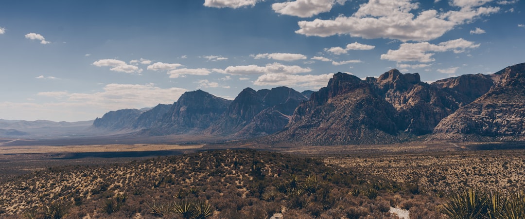 Get Your Nevada Real ID Now