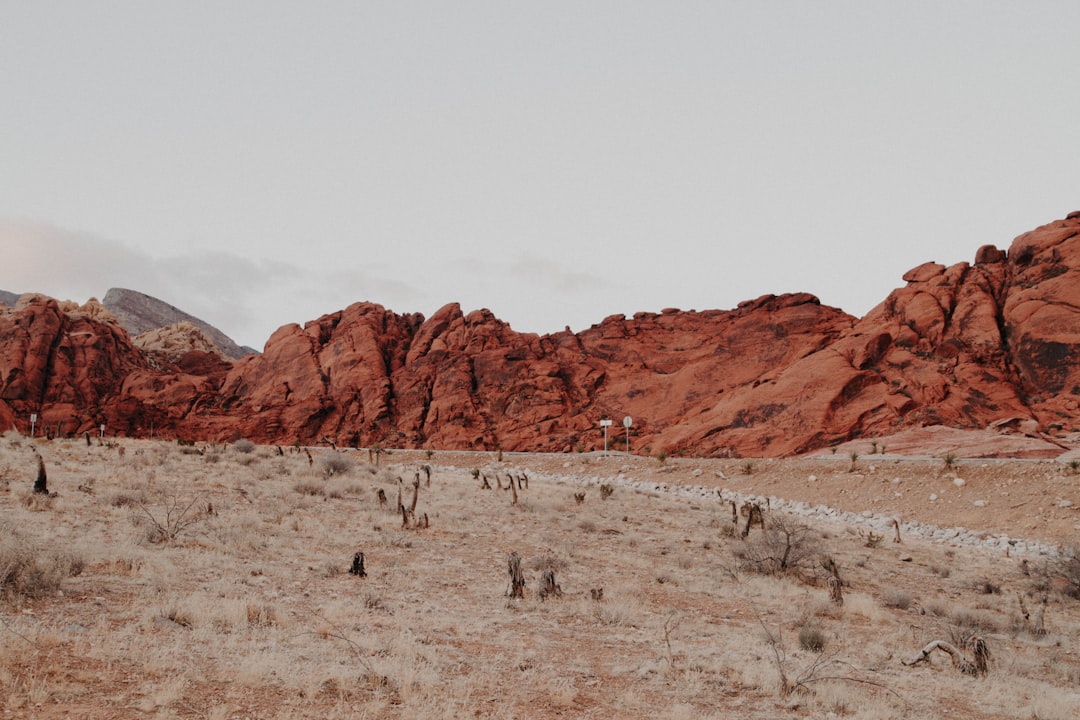 Get Your Guide to Las Vegas Shows