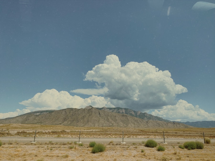 Photo "Does Nevada like Asher?"