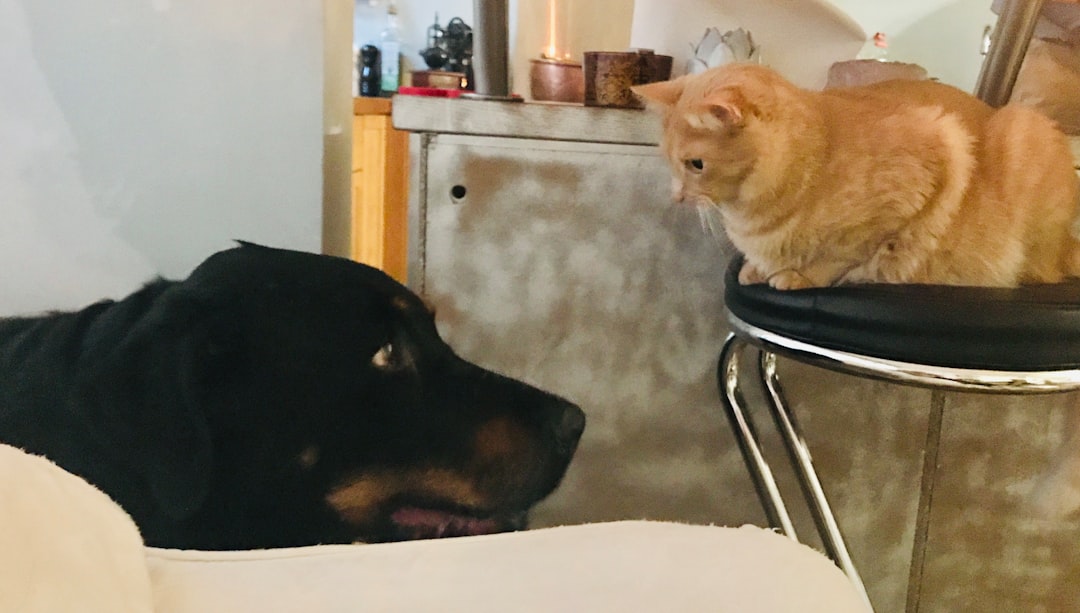 Photo Monster buddies