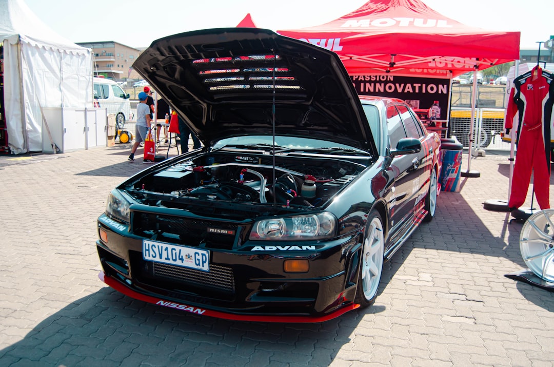 Photo godzilla