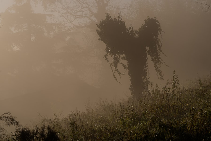 Photo Monster footprint