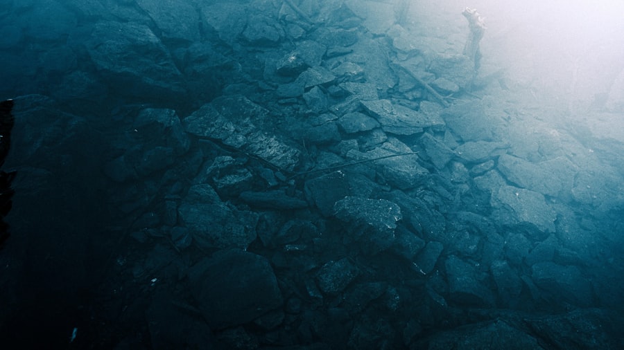 Photo godzilla, underwater