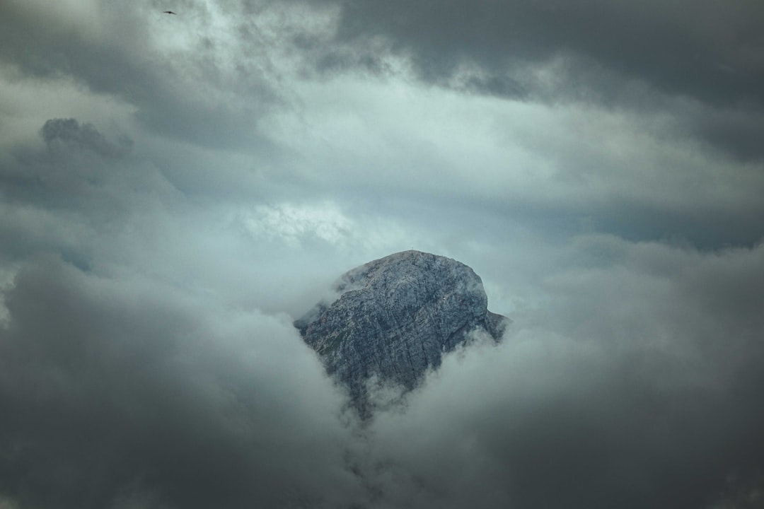 Photo godzilla, fortnite