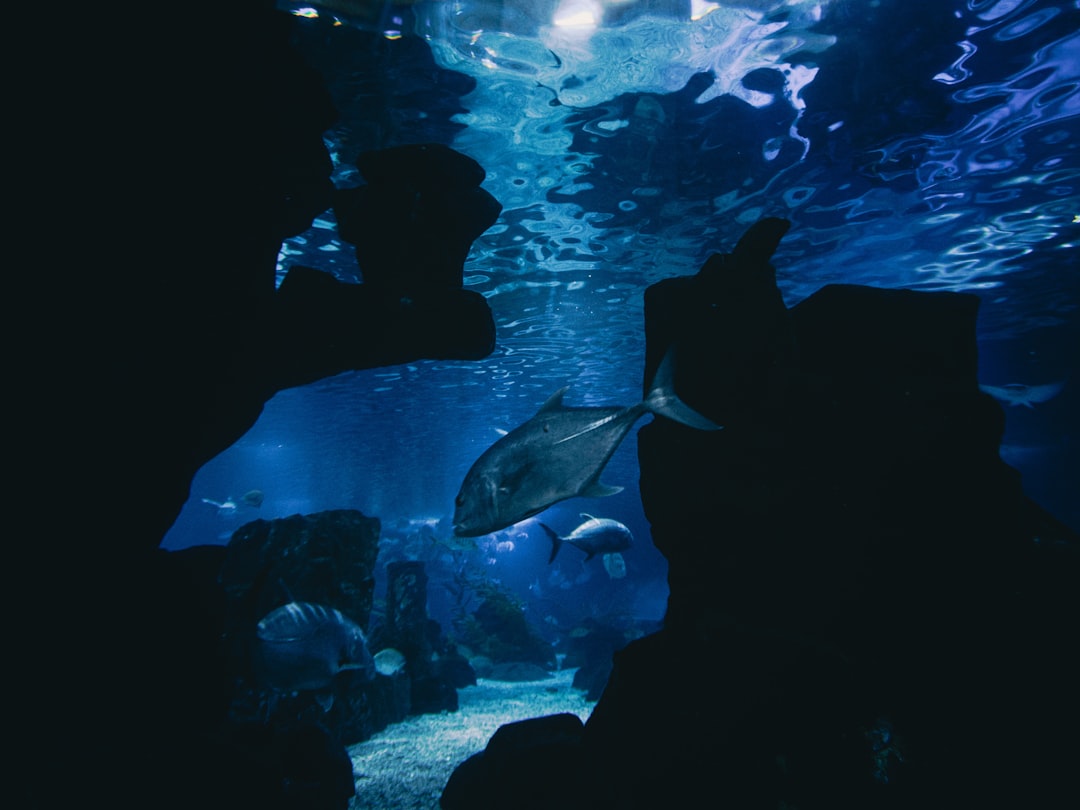 Uncovering Godzilla’s Underwater Breathing Abilities